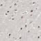 WW Domain Containing Adaptor With Coiled-Coil antibody, NBP1-88581, Novus Biologicals, Immunohistochemistry frozen image 