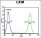 Neuronal membrane glycoprotein M6-b antibody, PA5-71592, Invitrogen Antibodies, Flow Cytometry image 