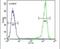 Sphingomyelin Synthase 2 antibody, PA5-26802, Invitrogen Antibodies, Flow Cytometry image 