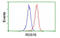 Regulator of G-protein signaling 16 antibody, MBS833320, MyBioSource, Flow Cytometry image 