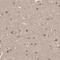 Nucleoporin 43 antibody, HPA028500, Atlas Antibodies, Immunohistochemistry frozen image 