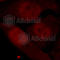 Histone Deacetylase 2 antibody, AP0201, ABclonal Technology, Immunofluorescence image 