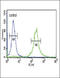 Inhibin Subunit Alpha antibody, 62-429, ProSci, Immunofluorescence image 