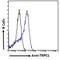 Transient Receptor Potential Cation Channel Subfamily C Member 1 antibody, NBP2-62000, Novus Biologicals, Flow Cytometry image 