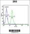 Limb Development Membrane Protein 1 Like antibody, 64-119, ProSci, Flow Cytometry image 