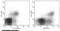 CD160 antigen antibody, 12191-MM09-P, Sino Biological, Flow Cytometry image 