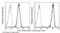 CDH2 antibody, 11039-R020-A, Sino Biological, Flow Cytometry image 