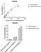 IL-6 antibody, 11-094, ProSci, Enzyme Linked Immunosorbent Assay image 