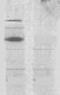 Corin, Serine Peptidase antibody, TA354722, Origene, Western Blot image 