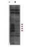 PBIP1 antibody, orb345628, Biorbyt, Western Blot image 
