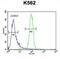 Kelch repeat and BTB domain-containing protein 5 antibody, abx025711, Abbexa, Flow Cytometry image 