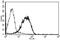 CD99 Molecule (Xg Blood Group) antibody, AM31245AF-N, Origene, Flow Cytometry image 