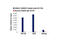 Histone Deacetylase 2 antibody, 57156S, Cell Signaling Technology, Chromatin Immunoprecipitation image 