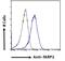 FERM, ARH/RhoGEF And Pleckstrin Domain Protein 1 antibody, NBP2-76803, Novus Biologicals, Flow Cytometry image 