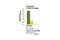 Cyclin Dependent Kinase Inhibitor 1B antibody, 7768S, Cell Signaling Technology, Enzyme Linked Immunosorbent Assay image 