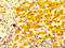 Cytochrome P450 2C19 antibody, CSB-PA006417LA01HU, Cusabio, Immunohistochemistry paraffin image 