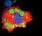 Patatin-like phospholipase domain-containing protein 2 antibody, PA5-17436, Invitrogen Antibodies, Immunofluorescence image 