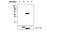 Dual specificity protein phosphatase 12 antibody, MA5-17241, Invitrogen Antibodies, Western Blot image 