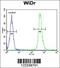 VPS26, Retromer Complex Component A antibody, 63-613, ProSci, Flow Cytometry image 