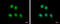 MAGE Family Member A1 antibody, GTX103961, GeneTex, Immunocytochemistry image 