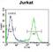 Zinc Finger Protein 648 antibody, abx026249, Abbexa, Flow Cytometry image 