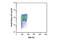 Histone H3 antibody, 13998S, Cell Signaling Technology, Flow Cytometry image 