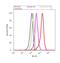 Syntaxin Binding Protein 1 antibody, PA1-742, Invitrogen Antibodies, Flow Cytometry image 
