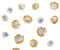 BCL2 Associated Athanogene 4 antibody, ADI-905-243-100, Enzo Life Sciences, Immunocytochemistry image 