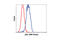 p38 antibody, 9228S, Cell Signaling Technology, Flow Cytometry image 