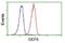 Differentially expressed in FDCP 8 antibody, NBP2-00574, Novus Biologicals, Flow Cytometry image 