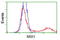 RNA-binding protein Musashi homolog 1 antibody, TA502273, Origene, Flow Cytometry image 