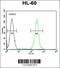 Serine Protease 3 antibody, 56-124, ProSci, Flow Cytometry image 