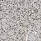 BRISC And BRCA1 A Complex Member 2 antibody, FNab00953, FineTest, Immunohistochemistry paraffin image 