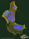 EGFR antibody, ab231, Abcam, Immunocytochemistry image 