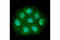 Csn5 antibody, 6895S, Cell Signaling Technology, Immunofluorescence image 