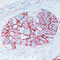 CD44 antibody, LS-C88352, Lifespan Biosciences, Immunohistochemistry paraffin image 