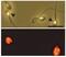 Izumo Sperm-Egg Fusion 1 antibody, GTX00746, GeneTex, Immunofluorescence image 