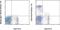 CD8 antibody, 46-0084-82, Invitrogen Antibodies, Flow Cytometry image 