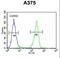 Lumican antibody, LS-B10541, Lifespan Biosciences, Flow Cytometry image 