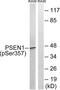 Presenilin 1 antibody, LS-C199498, Lifespan Biosciences, Western Blot image 