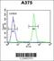 ADP Ribosylation Factor Like GTPase 8A antibody, 55-065, ProSci, Immunofluorescence image 