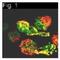 PRL-R antibody, NB300-531, Novus Biologicals, Immunohistochemistry frozen image 