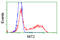 Nitrilase Family Member 2 antibody, TA501097, Origene, Flow Cytometry image 