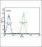 SLC9A3 Regulator 1 antibody, 62-072, ProSci, Immunofluorescence image 