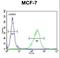 Olfactory Receptor Family 6 Subfamily C Member 4 antibody, LS-C163241, Lifespan Biosciences, Flow Cytometry image 