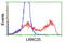 Leucine Rich Repeat Containing 25 antibody, TA504883, Origene, Flow Cytometry image 