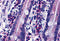 Dispatched RND Transporter Family Member 2 antibody, 4893, ProSci, Immunohistochemistry frozen image 