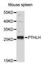Parathyroid Hormone Like Hormone antibody, STJ111173, St John