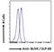 BLNK antibody, LS-C20135, Lifespan Biosciences, Flow Cytometry image 