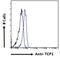 ADAMTS-like protein 2 antibody, 45-158, ProSci, Immunofluorescence image 